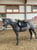 Horse ad