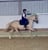 Annuncio cavallo