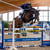 Annuncio cavallo
