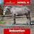 Horse ad
