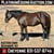 Horse ad
