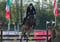 Horse ad