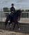 Horse ad