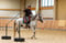 Horse ad