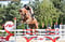 Horse ad