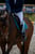 Horse ad