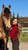 Annuncio cavallo