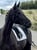 Horse ad