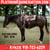 Horse ad