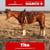 Horse ad