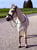 Annonce cheval
