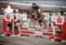 Annuncio cavallo