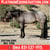 Annuncio cavallo