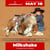 Anuncio de caballos