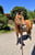 Horse ad
