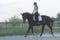 Annuncio cavallo