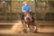 Horse ad
