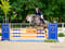 Annuncio cavallo
