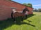 Horse ad
