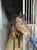 Pferdeinserat