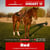 Horse ad