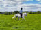 Annuncio cavallo