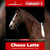 Horse ad