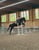 Annuncio cavallo