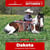 Paardadvertentie