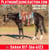 Horse ad