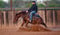 Annuncio cavallo