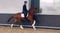 Horse ad