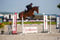 Horse ad