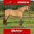 Paardadvertentie