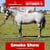 Paardadvertentie