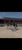 Horse ad