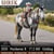 Paardadvertentie