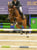 Horse ad