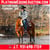 Horse ad