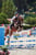 Horse ad