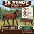 Horse ad