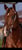 Annuncio cavallo