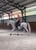 Horse ad
