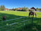 Annuncio cavallo