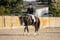 Horse ad