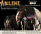 Horse ad