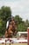 Horse ad