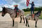 Annuncio cavallo