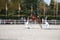 Horse ad