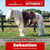 Paardadvertentie